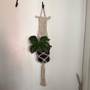 Neutral Cream Macramé Plant Hanger - Boho Wall Plant Holder
